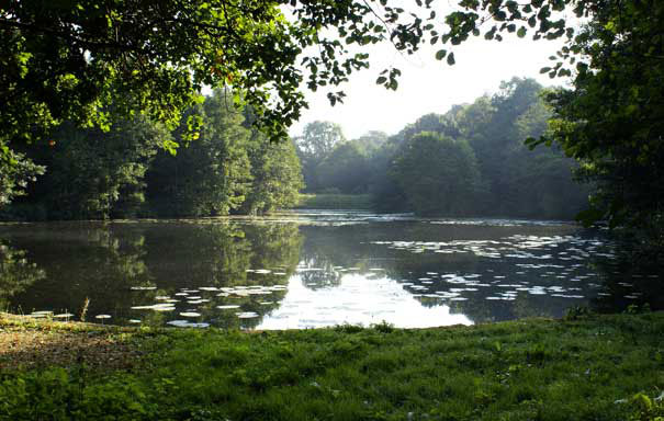 specimen-carp-lake-thumb