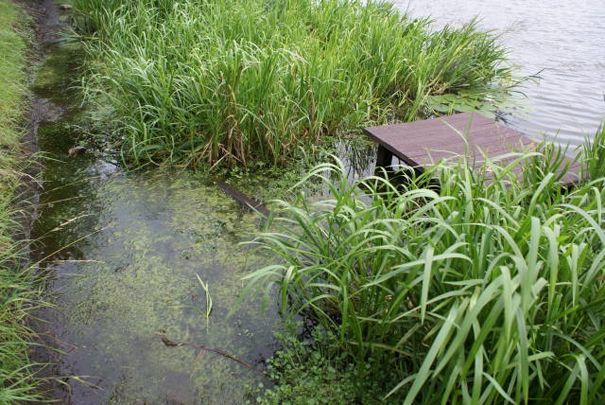 john-baker-history-08