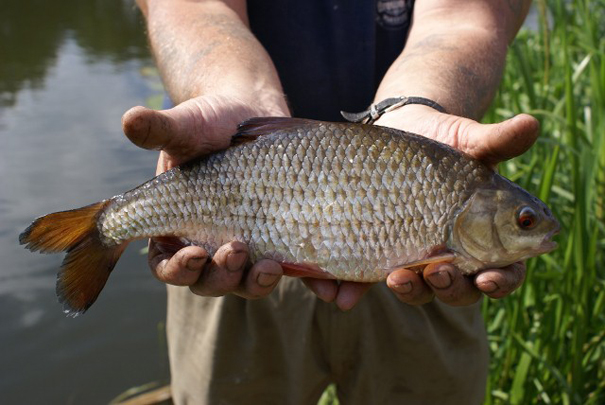 john-baker-history-18